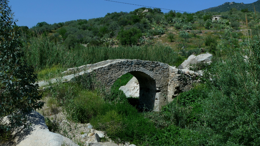 1583-P1590210.JPG