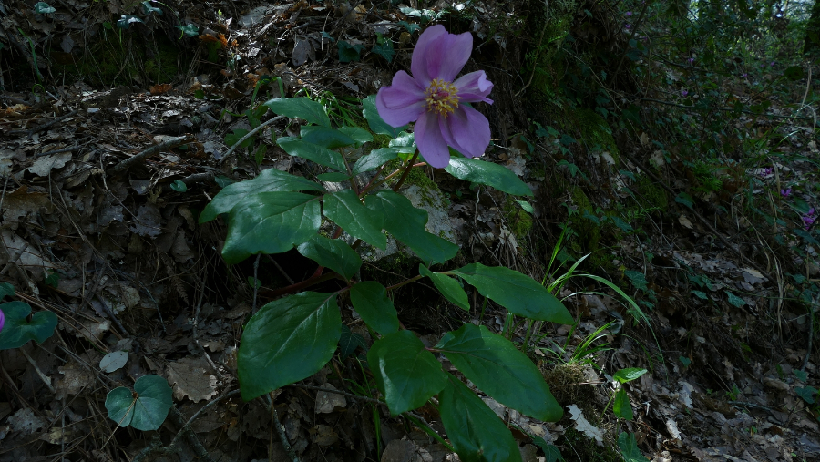 1642-P1590270.JPG