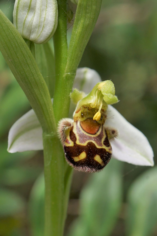 DSC02407 - kopie.JPG