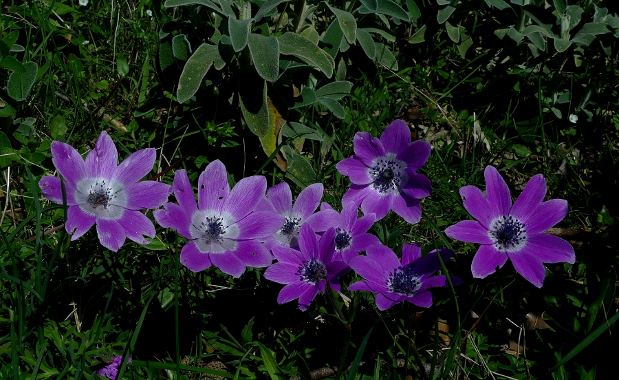13-P1630924.jpg
