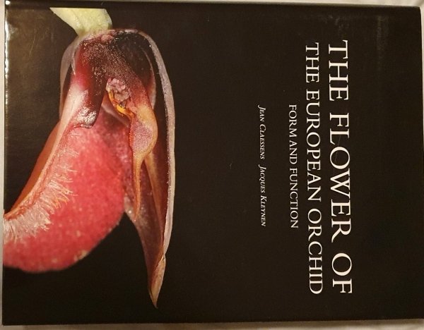 The flower of the European orchid