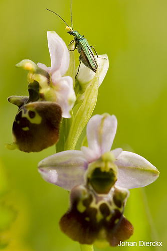 JD_20090522_112.jpg