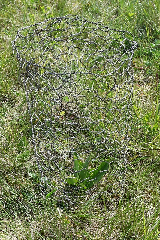 DSC03267-det-kl.jpg