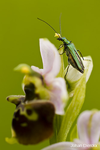 JD_20090522_121.jpg